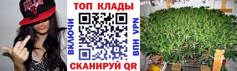 Галлюциногенные грибы Новочебоксарск