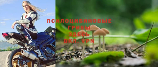сатива Гусь-Хрустальный