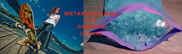 прущие грибы Гусев