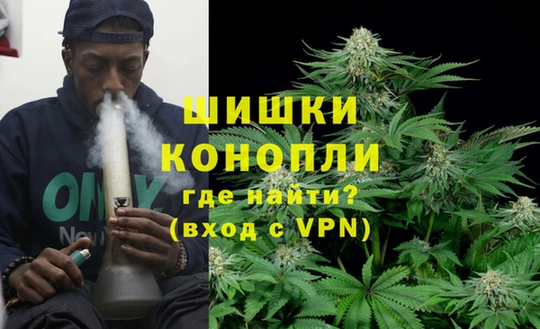 прущие грибы Гусев