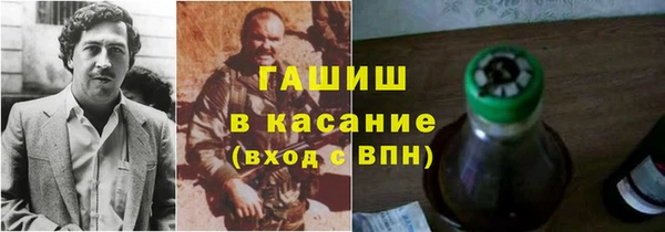 прущие грибы Гусев