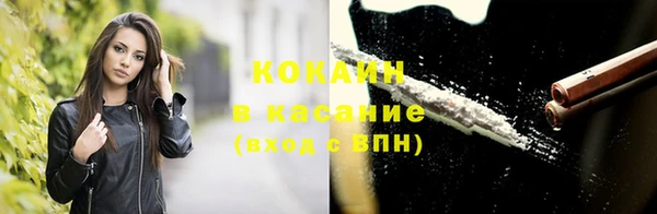 индика Горняк