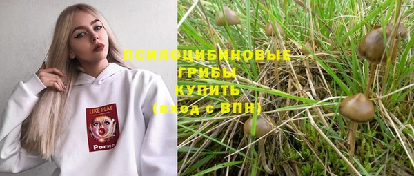 индика Горняк