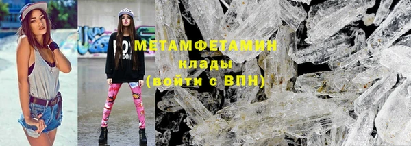 сатива Гусь-Хрустальный