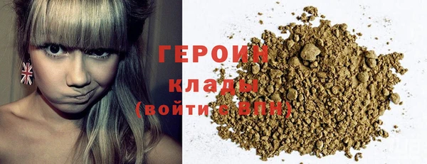 индика Горняк