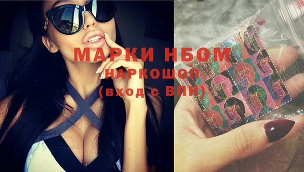 индика Горняк