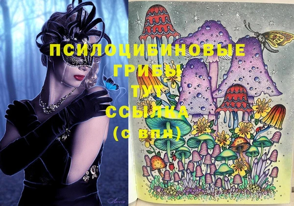 твердый Гусиноозёрск