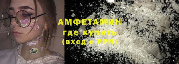 прущие грибы Гусев