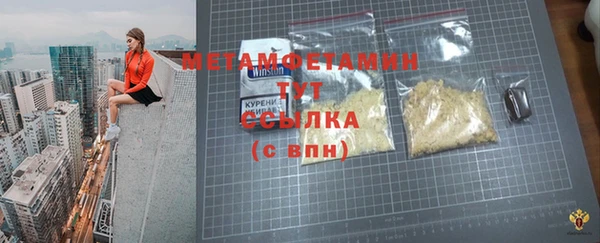 прущие грибы Гусев