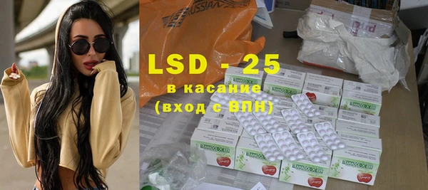 индика Горняк