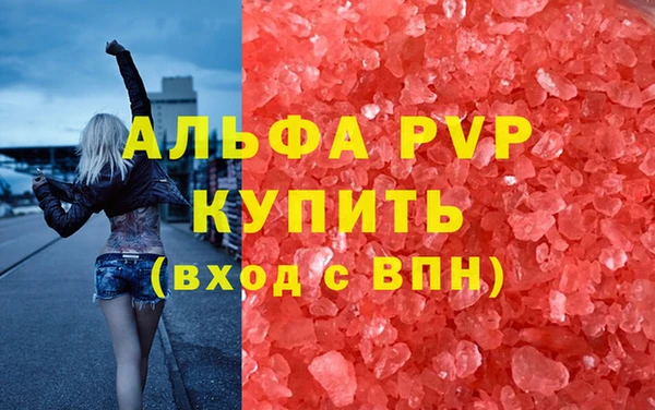 индика Горняк