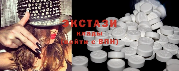 индика Горняк