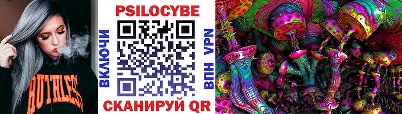 Псилоцибиновые грибы мухоморы Новочебоксарск